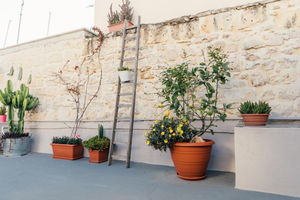 Zahrada ubytování Casa Romito