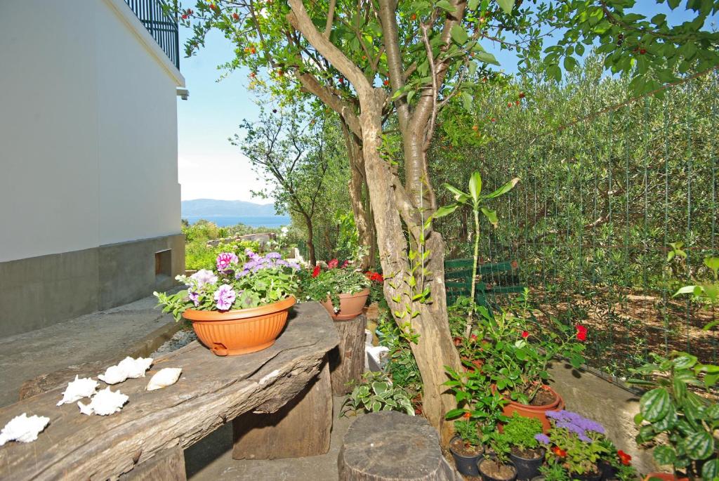 Jardin de l'établissement Apartmani Maslina