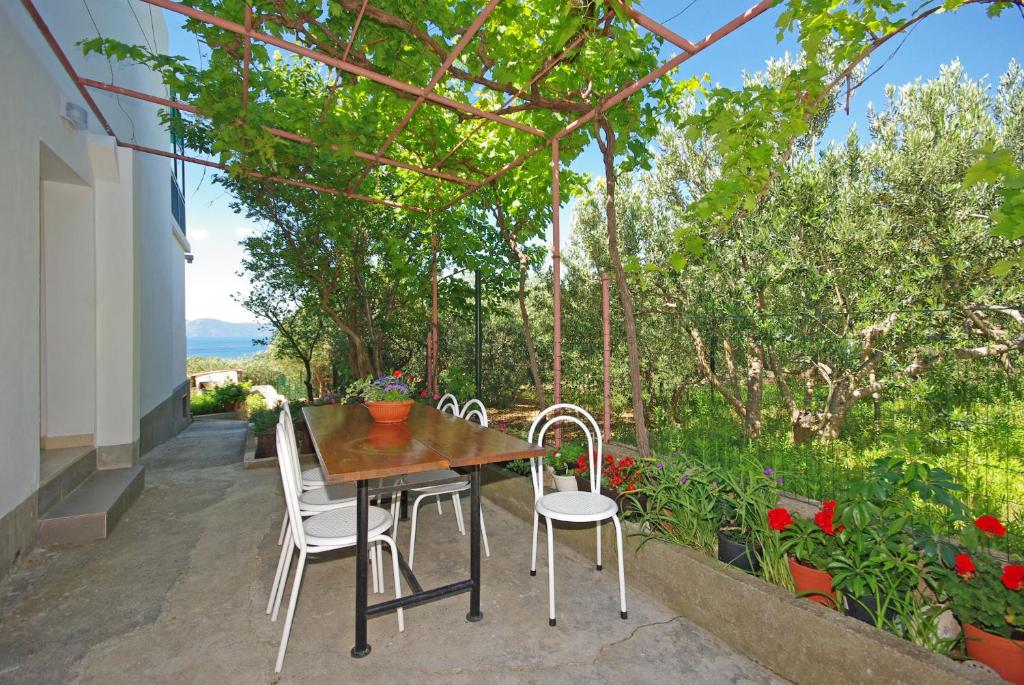 Jardin de l'établissement Apartmani Maslina
