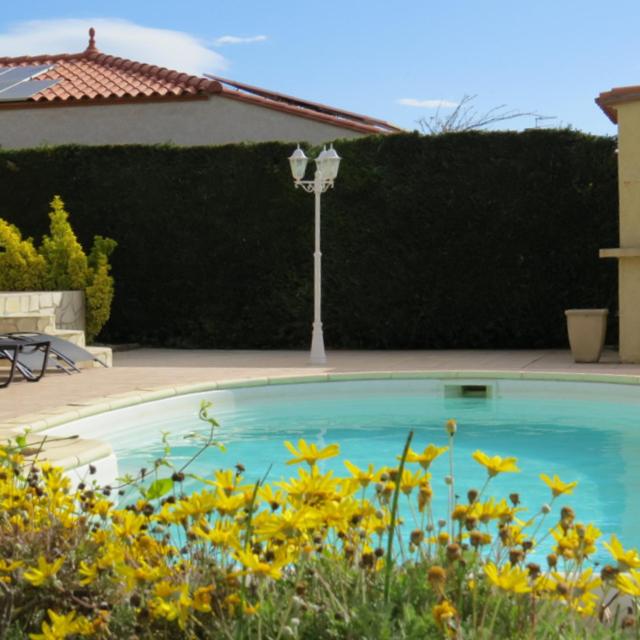 - une grande piscine bleue dans une cour fleurie dans l'établissement villa 8 personnes piscine privée 8RJC12, à Saint-Laurent-de-la-Salanque