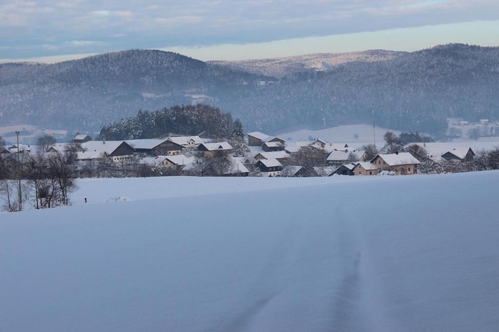 a snow covered town with houses and a field of snow at Gasthaus Zur Waldesruh in Waffenbrunn