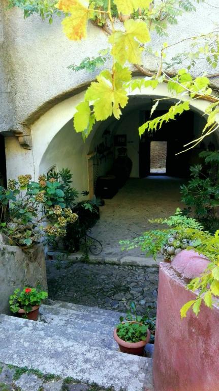 Zahrada ubytování Palazzo Caracciolo