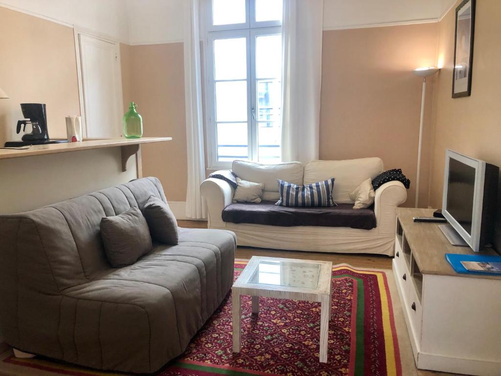 Una sala de estar con un sofá y un televisor. en Appartement Trouville Plage, en Trouville-sur-Mer