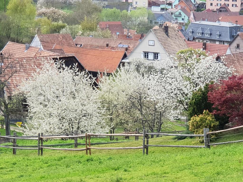 Zahrada ubytování Petit week end dans la vallée