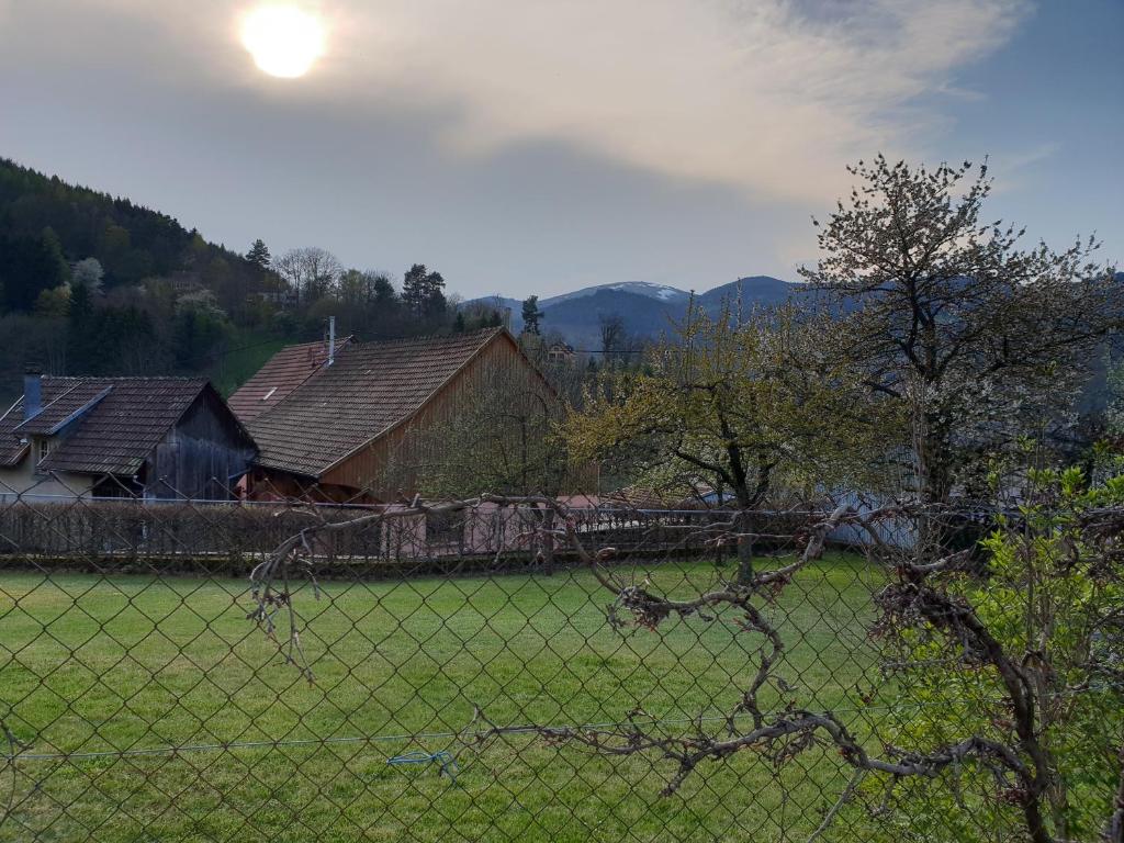Příroda nedaleko apartmánu