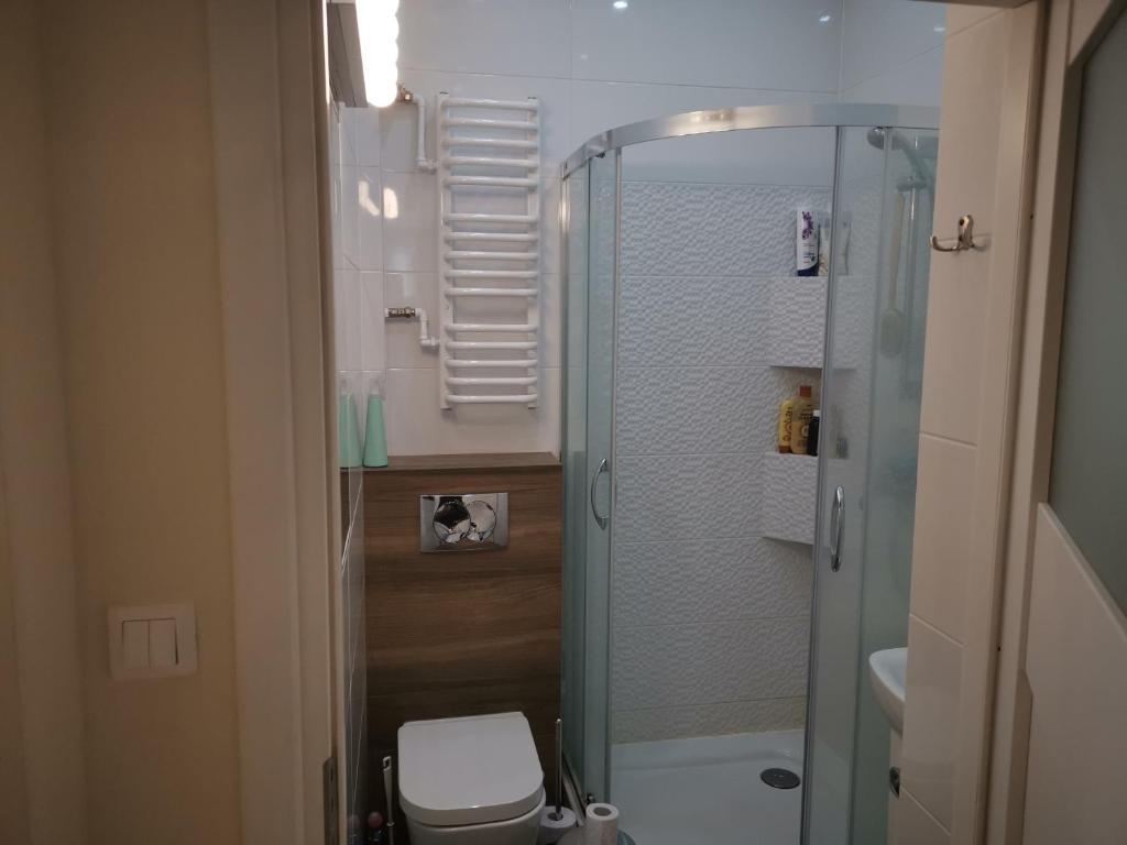 Kúpeľňa v ubytovaní Apartament Chlebnicka