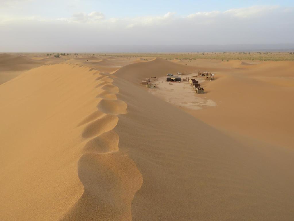 a view of a desert with a camel footprint in the sand at Chegaga Berber Camps in Mhamid