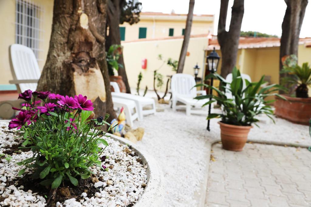 Gallery image of Aria di Mare in Rosignano Solvay