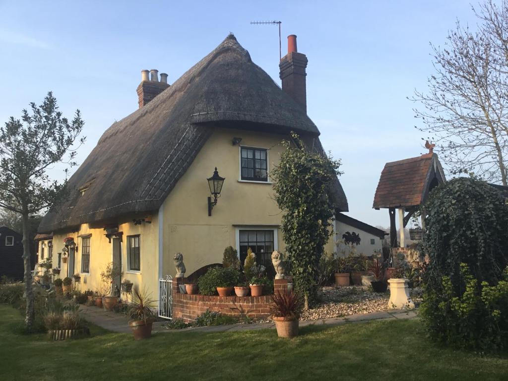 une maison au toit de chaume avec des plantes en pot devant elle dans l'établissement Ivy Todd cottage, à Debden