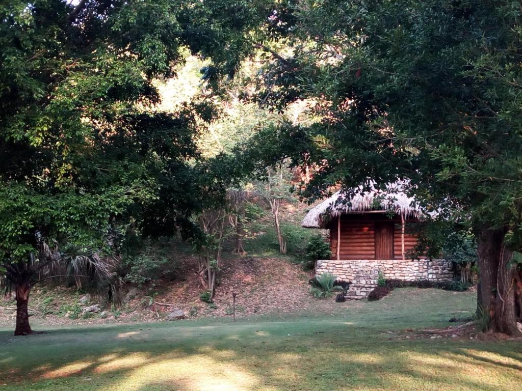 a log cabin with a thatched roof in a forest at cabins sierraverde huasteca potosina "cabaña la ceiba" in Damían Carmona