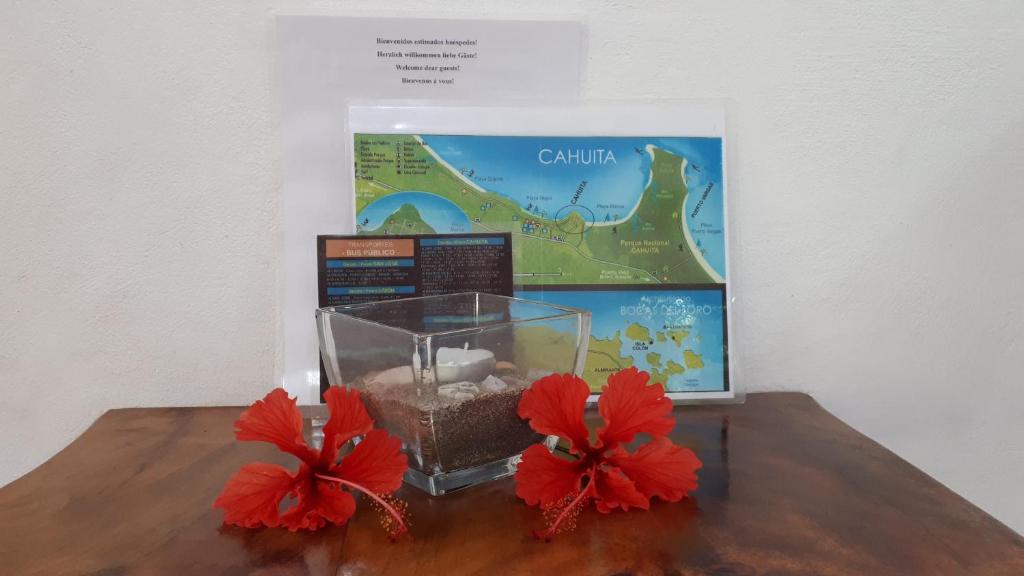 Fotografie z fotogalerie ubytování Babilonia v destinaci Cahuita