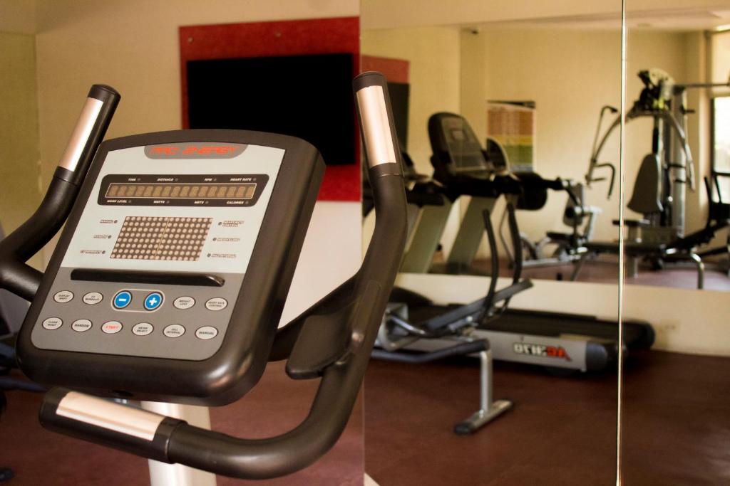 Fitness centrum a/nebo fitness zařízení v ubytování Hotel Mirabel