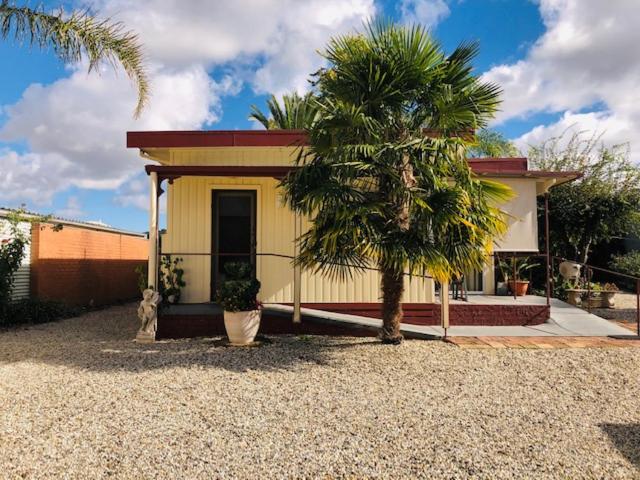 a small house with a palm tree in front of it at Villa Asolana in Myrtleford