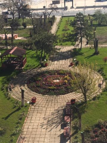 Zahrada ubytování Hotel Tomis