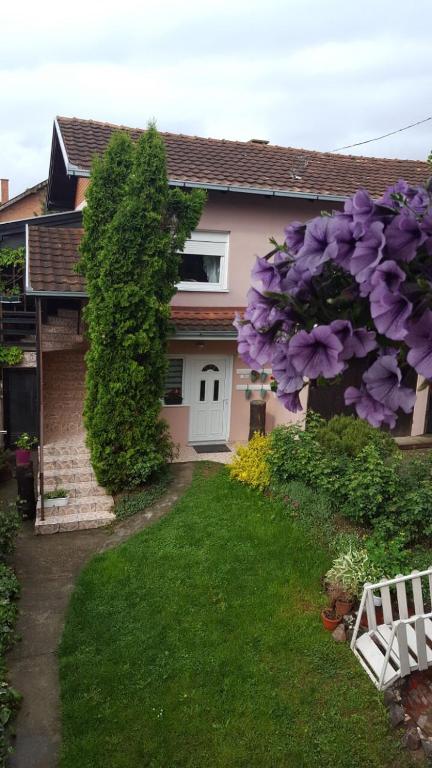 Zahrada ubytování Apartmani Stojanovic
