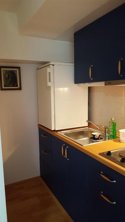 Kuchyň nebo kuchyňský kout v ubytování Apartmani Stojanovic