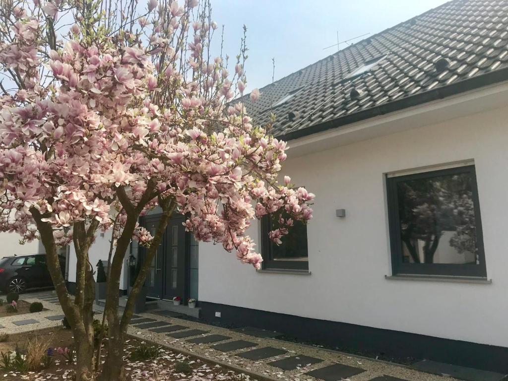 Zahrada ubytování Weinurlaub