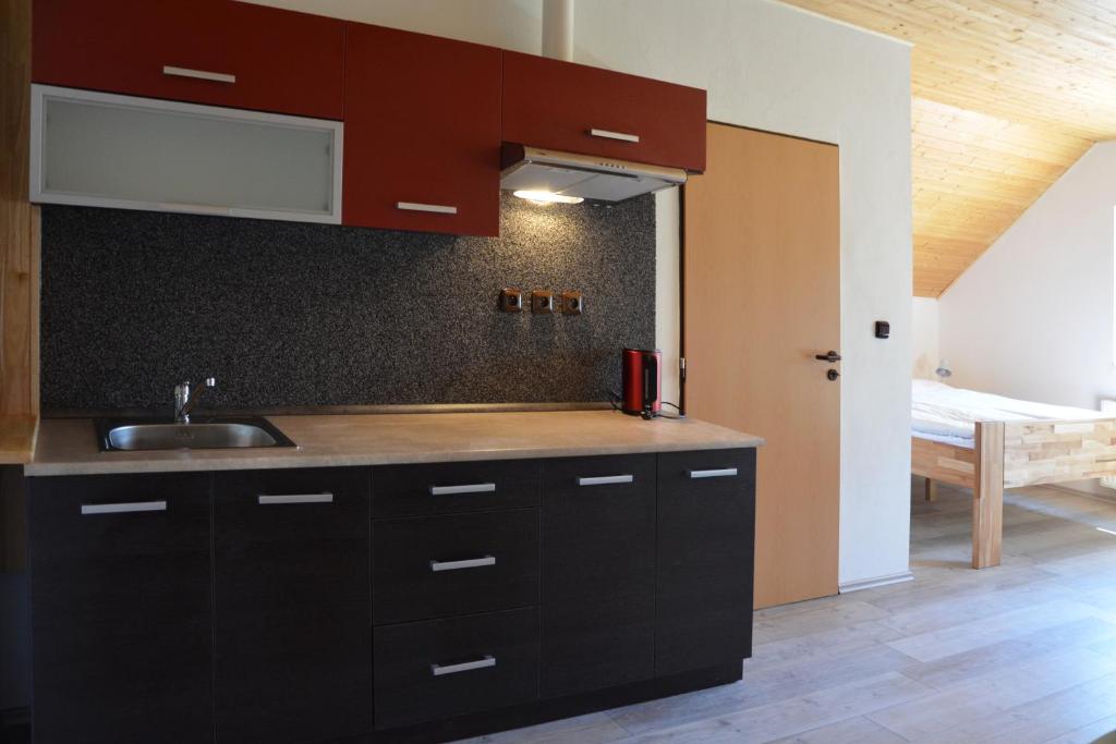 kuchnia z czarnymi szafkami, zlewem i łóżkiem w obiekcie Apartmán U Brabců w mieście Prachatice
