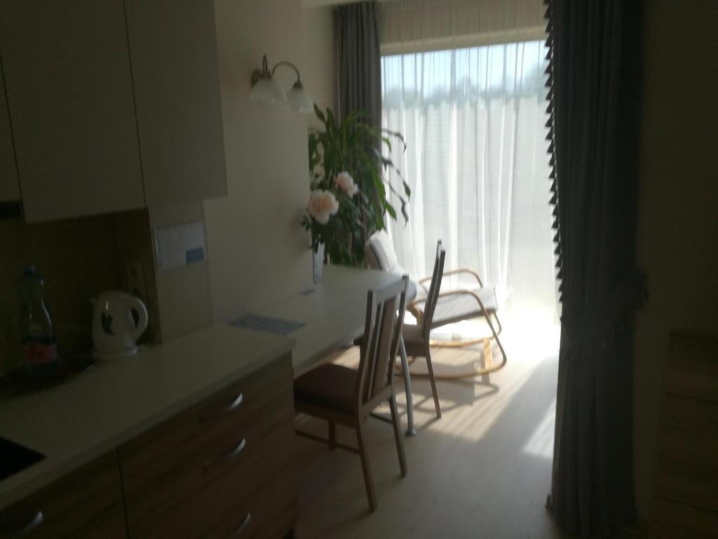 a kitchen with a table and chairs and a window at Ramuno Apartamentai in Birštonas