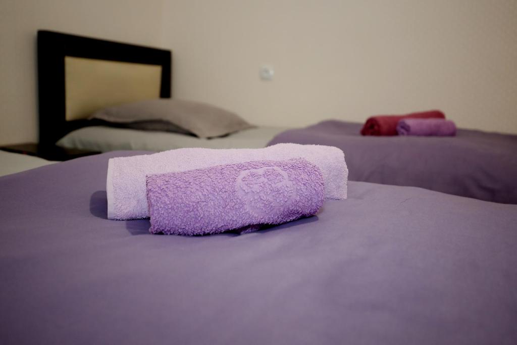 Postel nebo postele na pokoji v ubytování Guest House Zatika