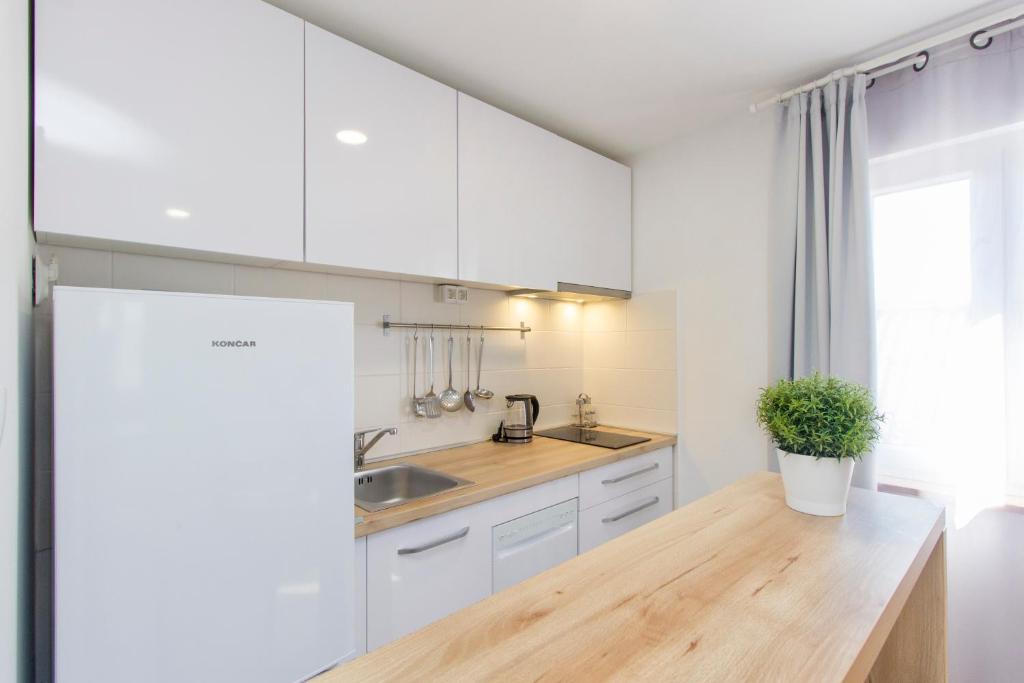 Kuchyň nebo kuchyňský kout v ubytování Apartment Betina Inn