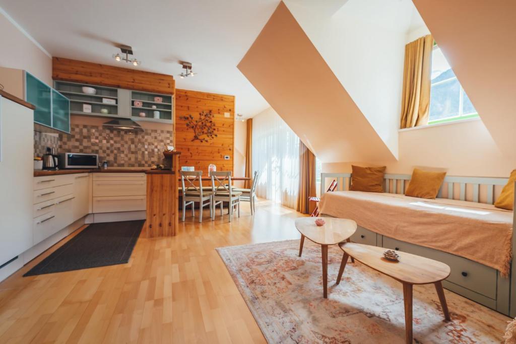 Kuchyň nebo kuchyňský kout v ubytování Guest House EJGA