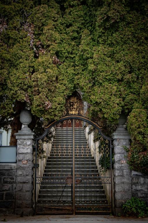 Foto dalla galleria di Villa Pochon a Gunten