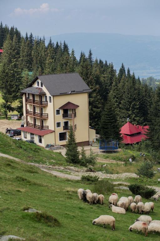 Hotel Muntele Mic (România Borlova)