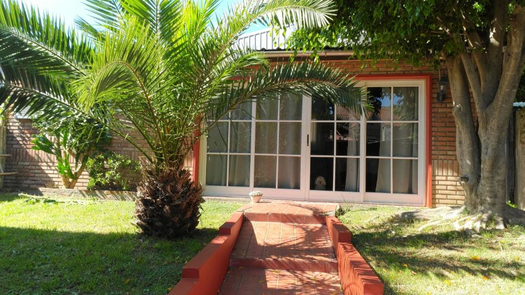 老虎城的住宿－Departamento céntrico en Tigre，窗户前有棕榈树的房子