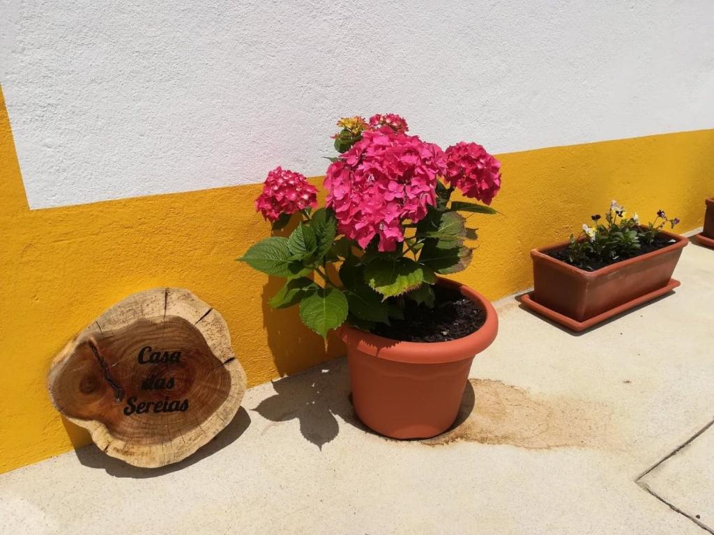 zwei Blumen in einem Topf neben einer Wand in der Unterkunft Casa das Sereias in Rabo de Peixe