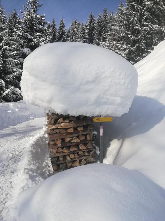 Holzfällerhaus Melkstatt v zime