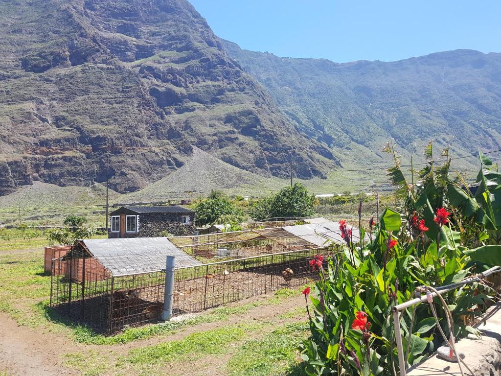 una granja con una montaña en el fondo en BEAUTIFUL COASTAL HOUSE ON A TRANQUIL ORGANIC FARM, en Guinea