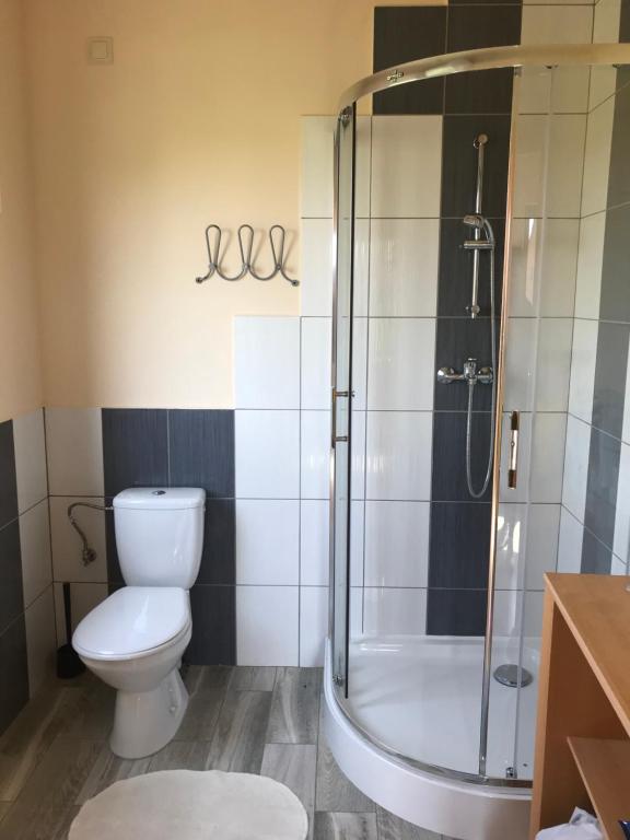 een badkamer met een toilet en een douche bij Całoroczny dom letniskowy 2 in Borzestowska Huta