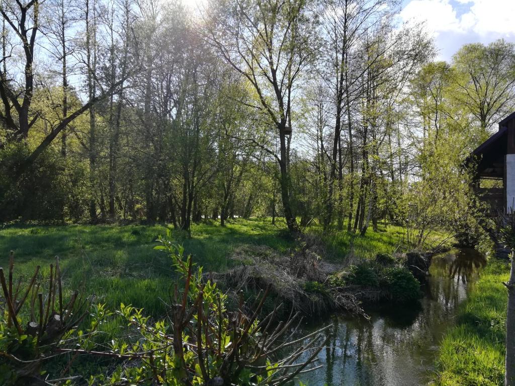 Příroda nedaleko apartmánu