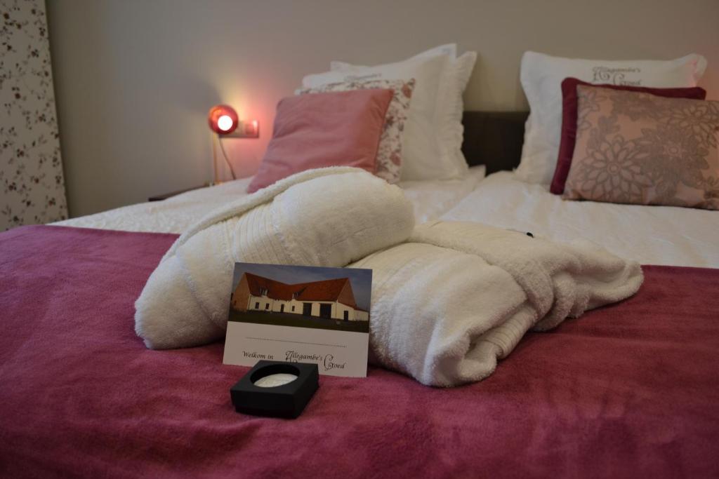Postel nebo postele na pokoji v ubytování B&B Allegambe's Goed