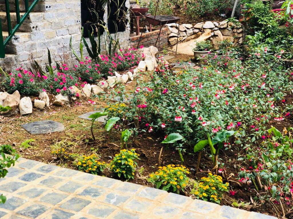 Youth Homestay Sapa - 18