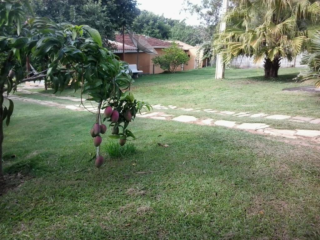  Pousada Sitio Urbano