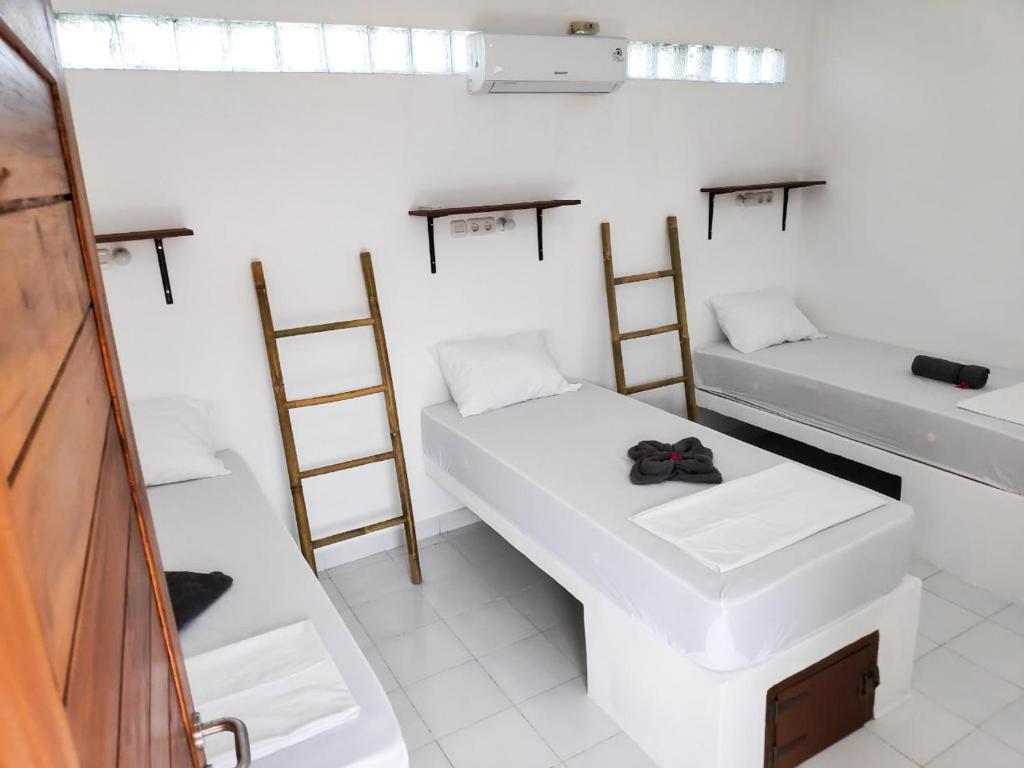 Gili Pirates Dive & BnB - 7