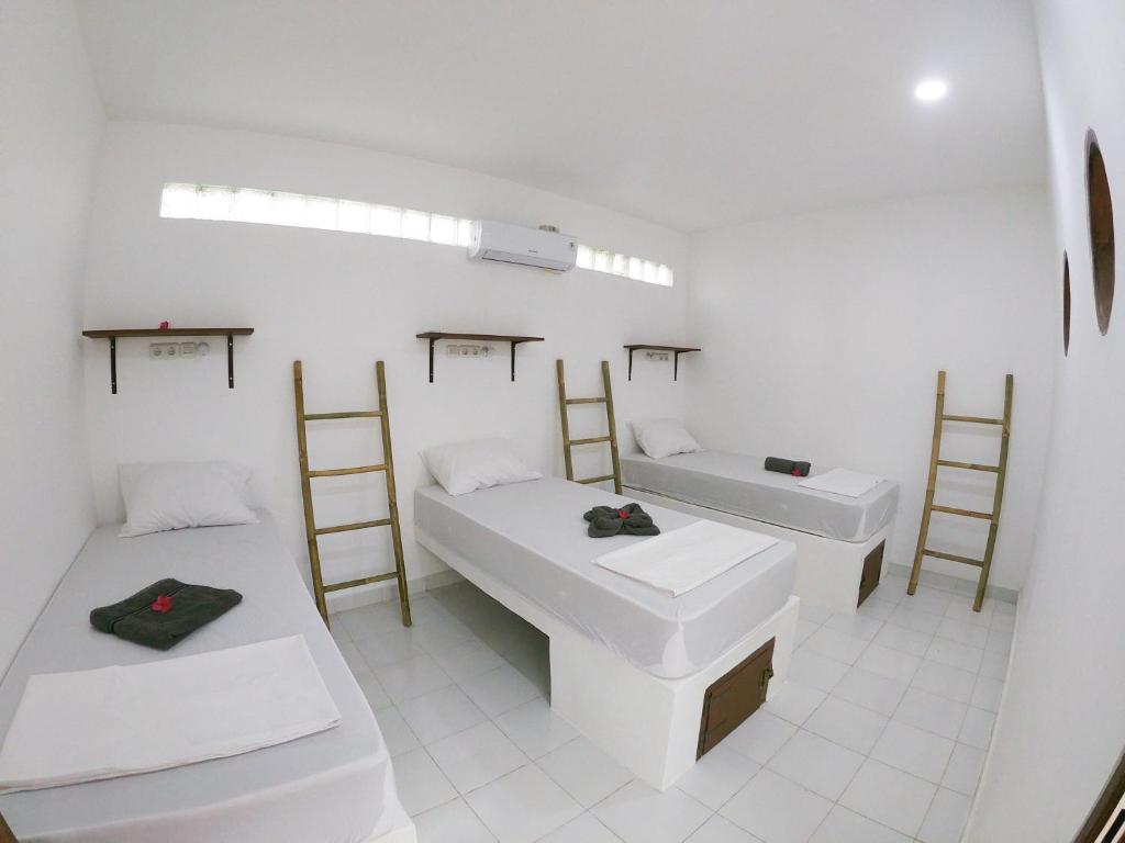 Gili Pirates Dive & BnB - 8