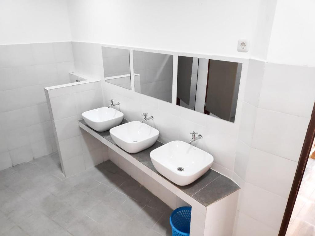 Gili Pirates Dive & BnB - 12