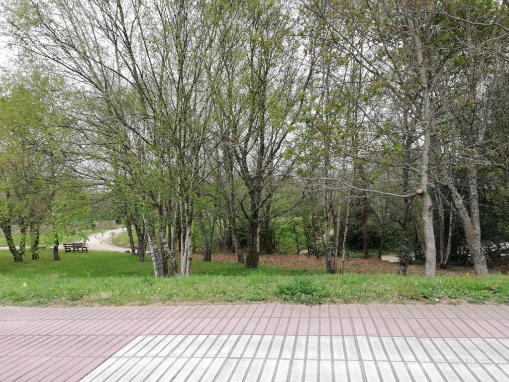 Kép Apartamento SIGÜEIRO CAMINO INGLÉS (English Way) szállásáról Sigüeiróban a galériában
