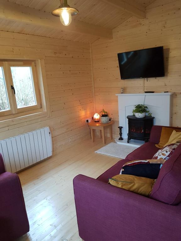 TV a/nebo společenská místnost v ubytování Inisean Lodge log cabin -part of Inisean B&B