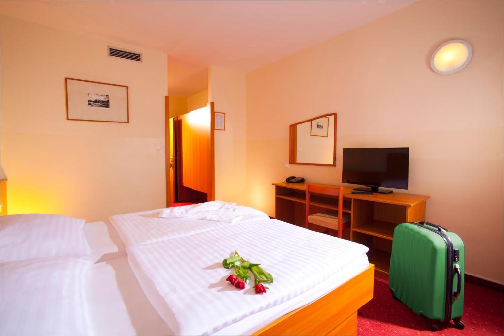Terme Topolsica - Hotel Vesna - Standard Double Room