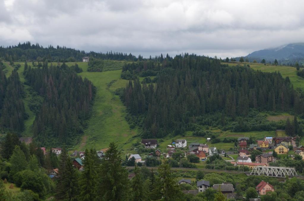 eine kleine Stadt in einem grünen Tal mit Bäumen in der Unterkunft Біля лісу Апартименти з двома спальнями in Slawske