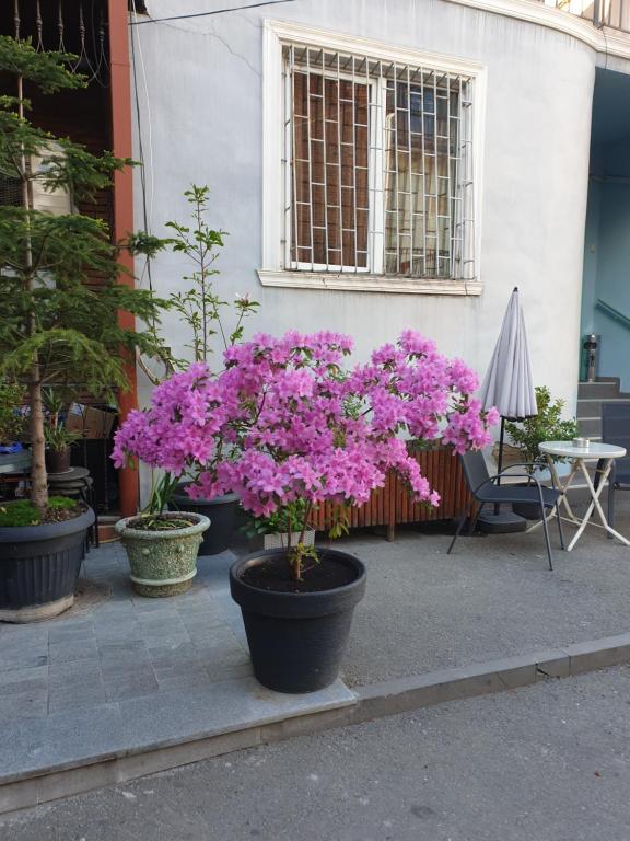 Old Tbilisi Apartments1 - 两居室公寓