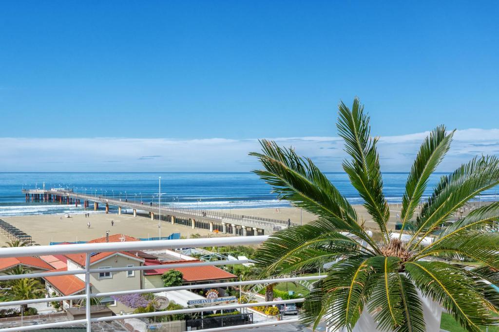 una palmera frente a una playa en Hotel Esplanade en Marina di Pietrasanta