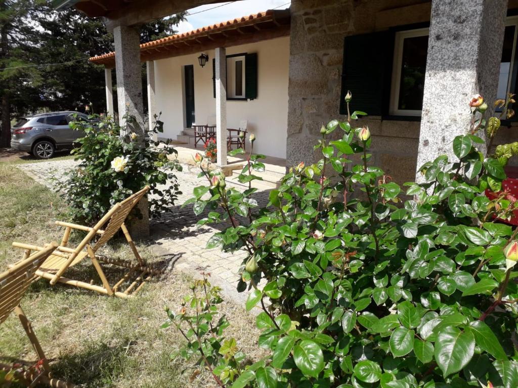 Zahrada ubytování Casa da Farmácia
