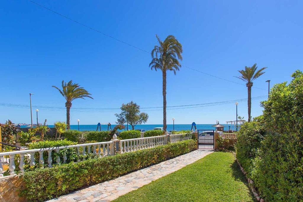 ogród z palmami i oceanem w tle w obiekcie CH Vista Alegre Rocio del Mar w mieście Torrevieja