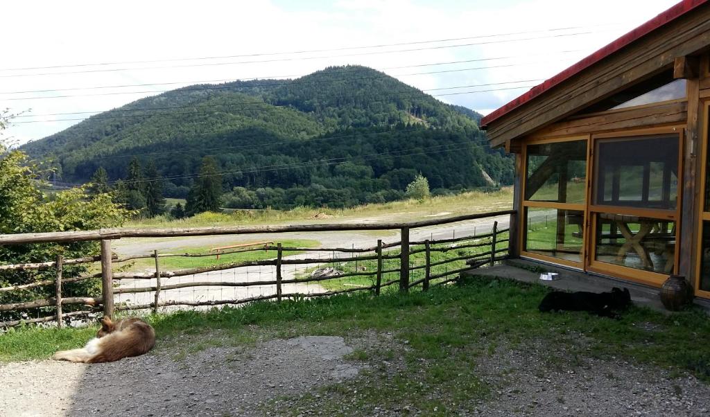 Príroda v okolí penziónu