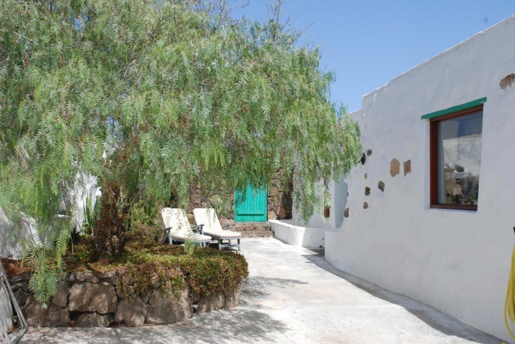 Zahrada ubytování Villa El Perinqué
